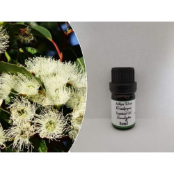 Eucalyptus Essential Oil 5ml
